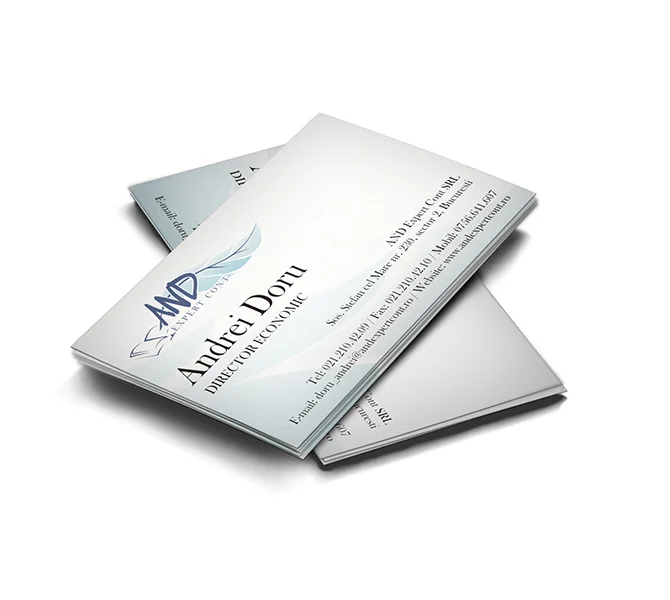 Design carte de vizita AND Expert Cont