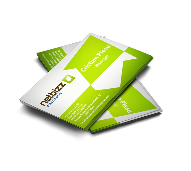 Design carte de vizita firma distributie Netbizz