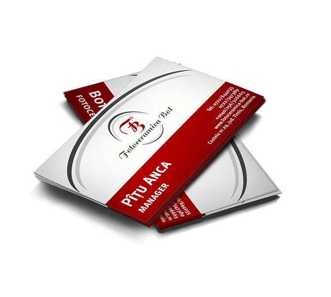 Design carte de vizita Fotoceramica Bot