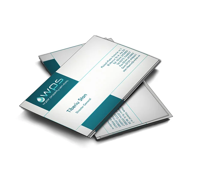 Design carte de vizita Wylze