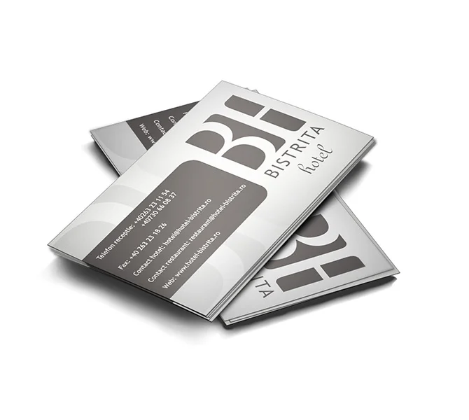 Realizare carte de vizita Hotel Bistrita