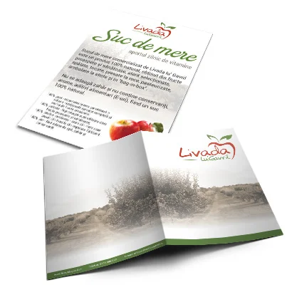 Design brosura producator suc natural mere - Livada lu Gavril