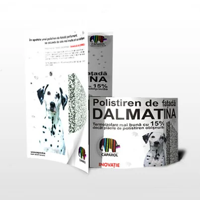 Design brosura si flyer Dalmatina - Caparol