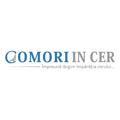 Design logo asociatie umanitara - Comori in cer