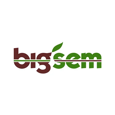 Design logo firma Bigsem