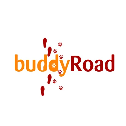 Design logo firma Buddy Road