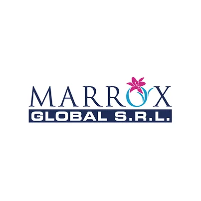 Design logo firma consultanta pentru afaceri - Marrox Global