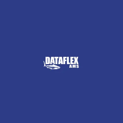 Design logo firma Dataflex AMS