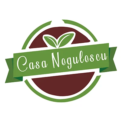 Design logo firma deshidratare fructe - Casa Negulescu