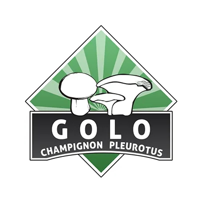 Design logo producator de ciuperci Golo Champignon Pleurotus