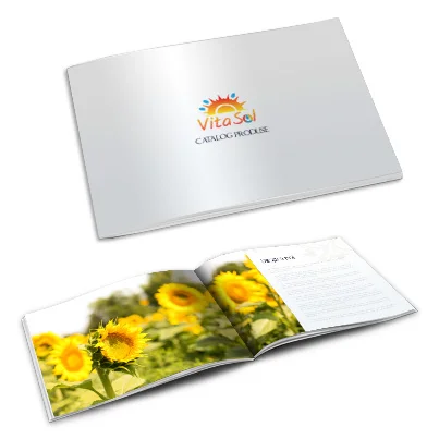 Design catalog produse comerciant seminte si fulgi cereale - Vita Sol