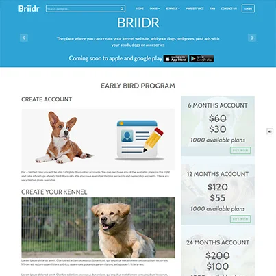 Creare portal anunturi online pentru canise - Briidr