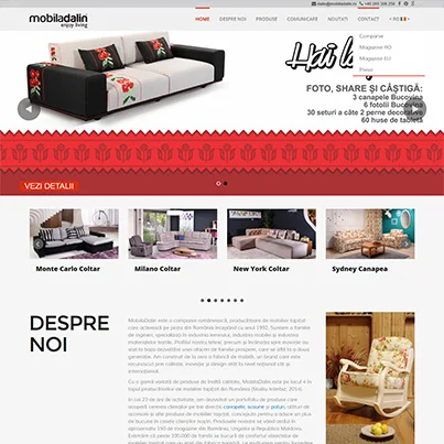 Design site web de prezentare producator mobilier - Mobila Dalin
