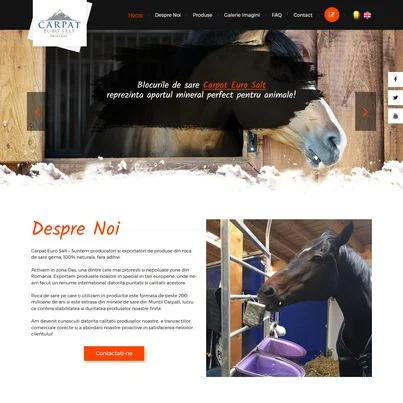 Design site web producator blocuri de sare animale - Carpat Euro Salt
