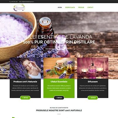 Design site web producator produse lavanda - Lavanda Dobrogeana