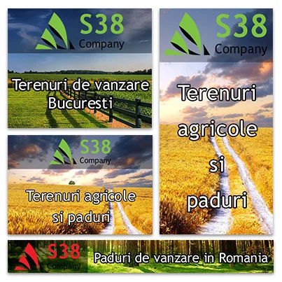 Implementare site web agentie specializata in vanzarea de paduri