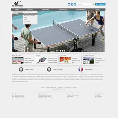 Design site platforma vanzari online Cornilleau