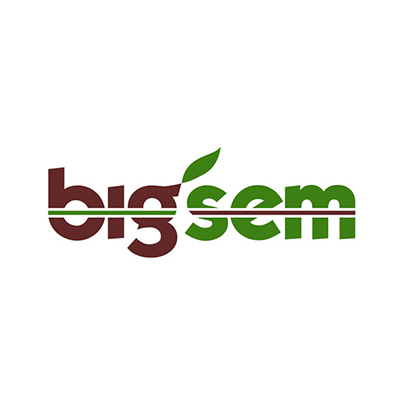 Design logo firma Bigsem