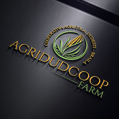 Design logo 3D cooperativa agricola - Agridudcoop