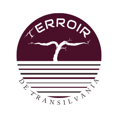 Design logo crama vinuri - Terroir de Transilvania